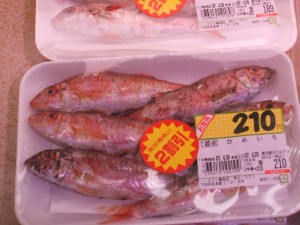 2004_04_30_エース1_ひめいち 2004_04_30_エース1_ひめいち