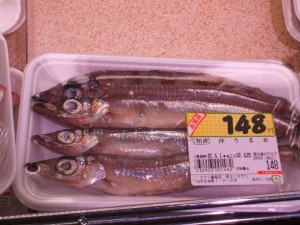 2004_04_30_エース1_沖うるめ 2004_04_30_エース1_沖うるめ