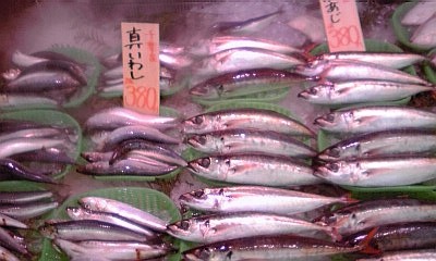 2012_06_02_山助_左