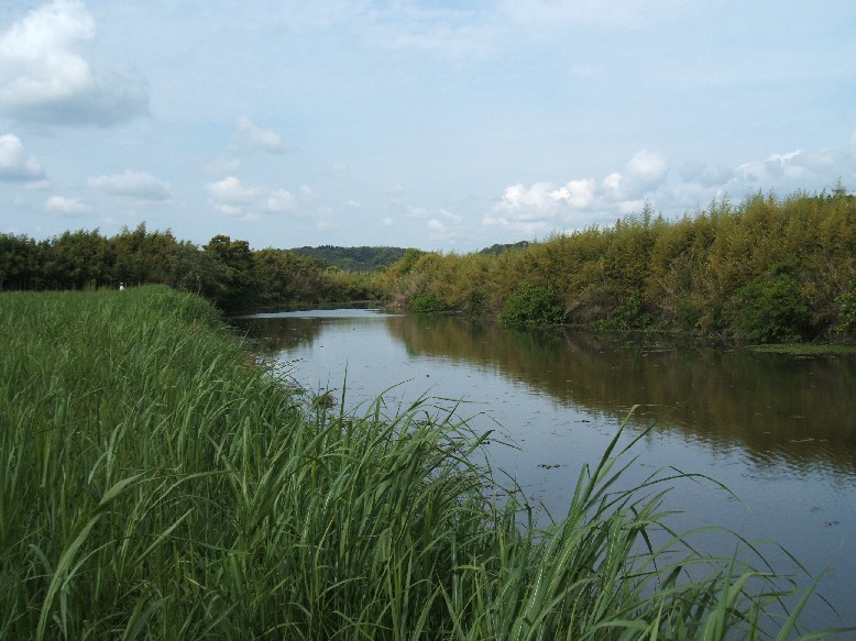 2009_05_03_日南_河川１