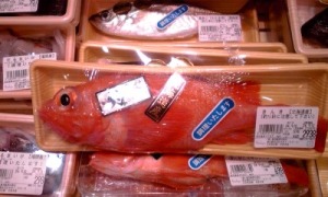 2012_09_10_阪急百貨店_キンキ