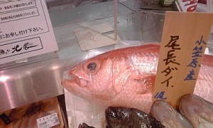 2012_11_12_阪急百貨_オナガダイ.