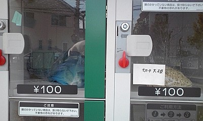 2013_02_09_野菜無人販売機_切干大根