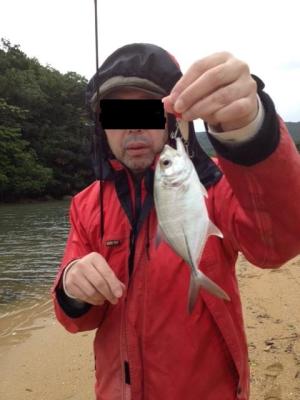 2013_12_31_オニヒラアジ.jpg 2013_12_31_オニヒラアジ.jpg