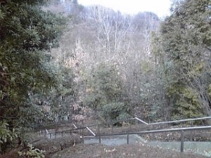 2014_01_25_ 沢谷戸自然公園１.jpg