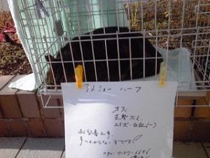 2014_10_18_01_里親探し3 2014_10_18_01_里親探し3