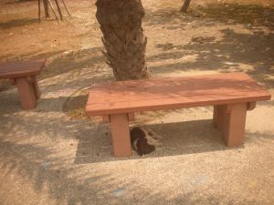 2015_06_13_05_旗津半島_子犬
