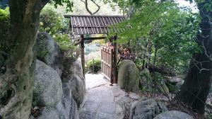 2015_10_24_04_やす田_庭1 2015_10_24_04_やす田_庭1