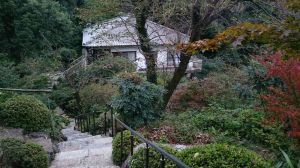 2015_10_24_04_やす田_庭2 2015_10_24_04_やす田_庭2