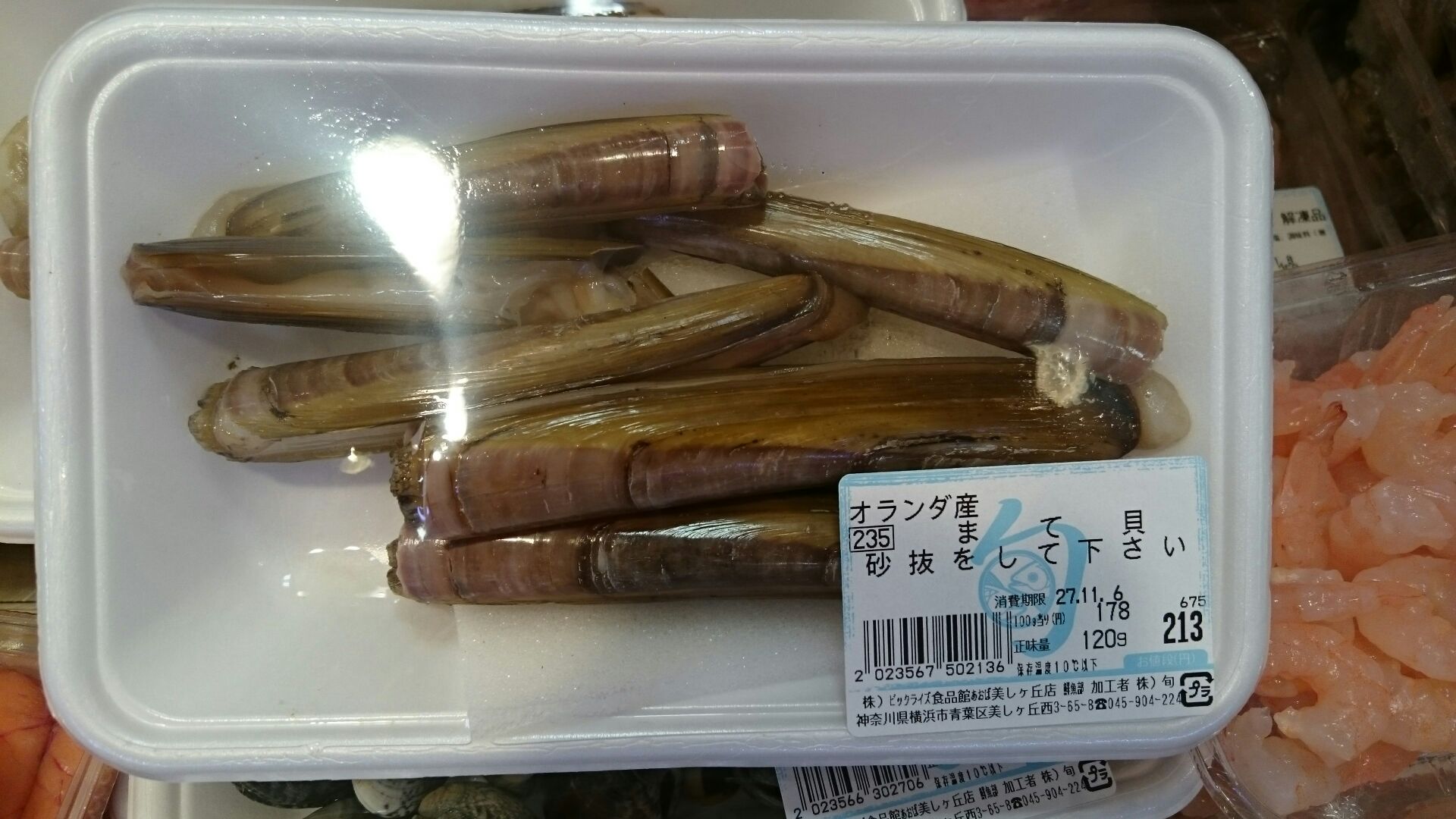 2015_11_06_02_マテガイ