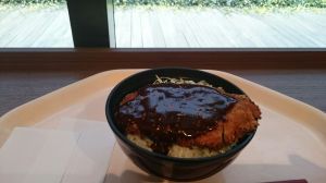 2016_12_04_01_味噌かつ丼