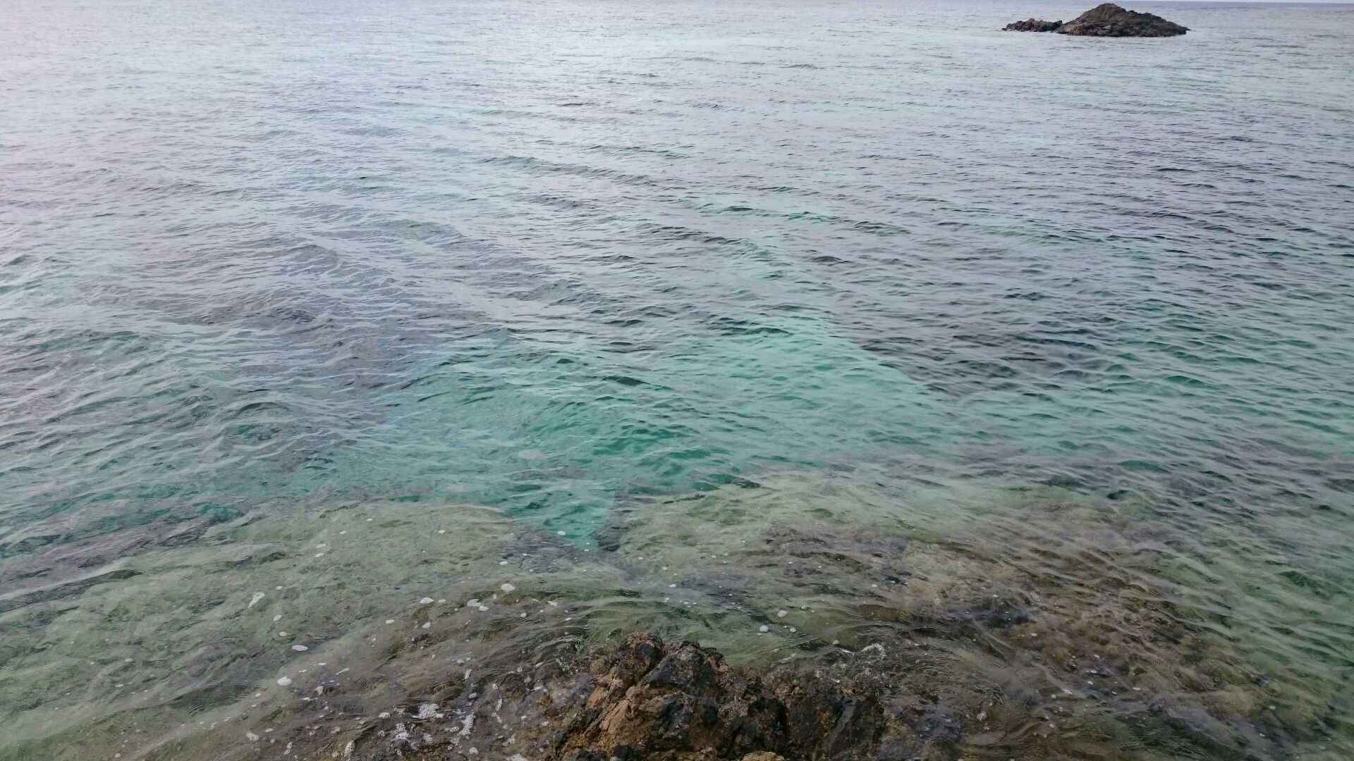 2018_02_05_03_石垣島北部3